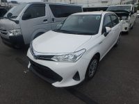 TOYOTA COROLLA AXIO 2018/NKE165 — 11