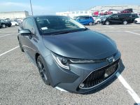 TOYOTA COROLLA 2022/WxB 50MILLION ED/ZWE211 — 11